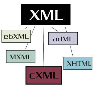 cXML vs XML for enterprise eCommerce websites development.